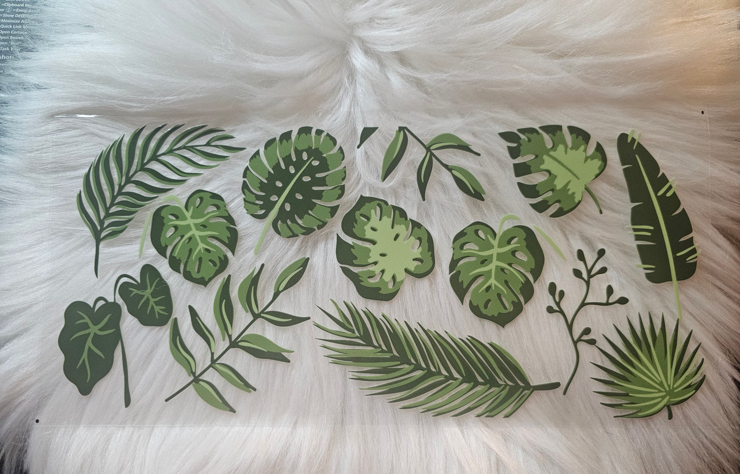 Leaves