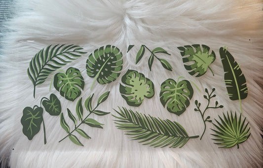 Leaves