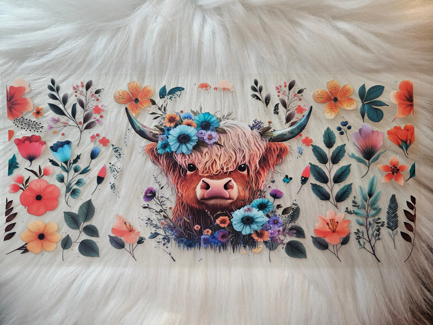 Cows