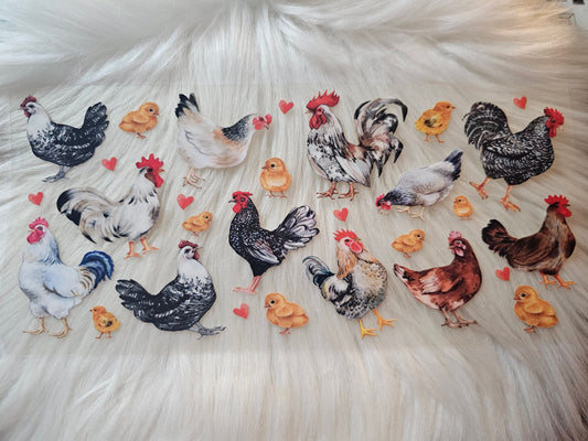 Rooster