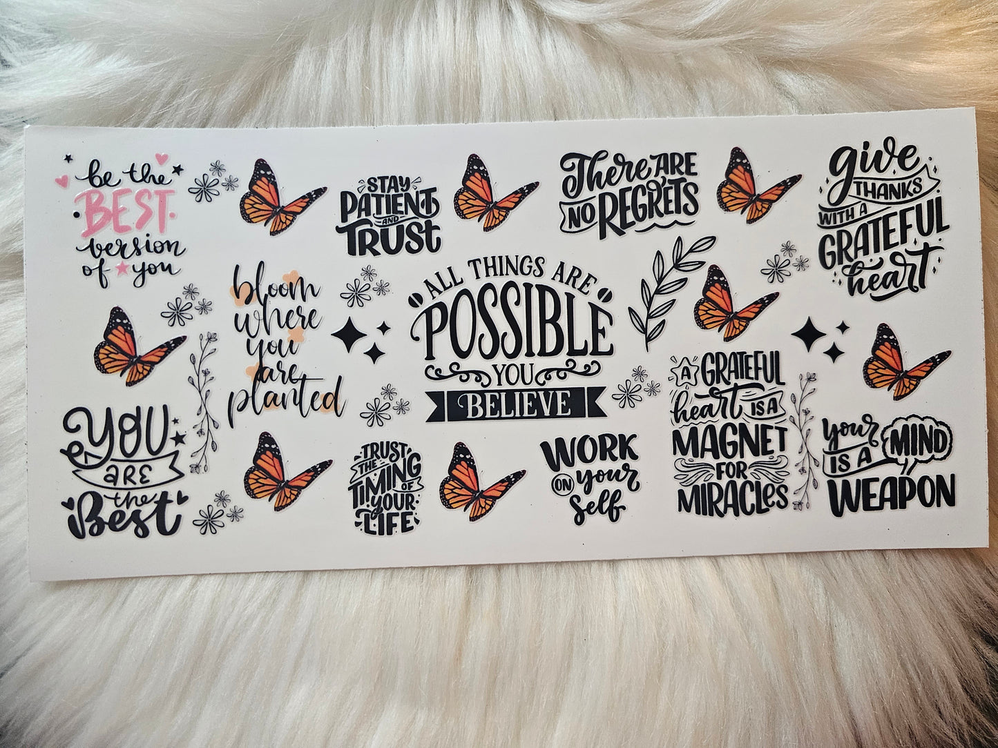 Possible You Believe