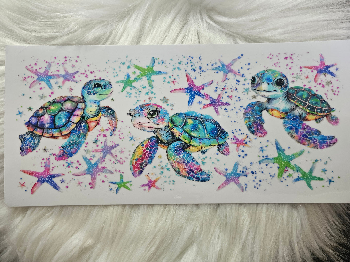 Turtles