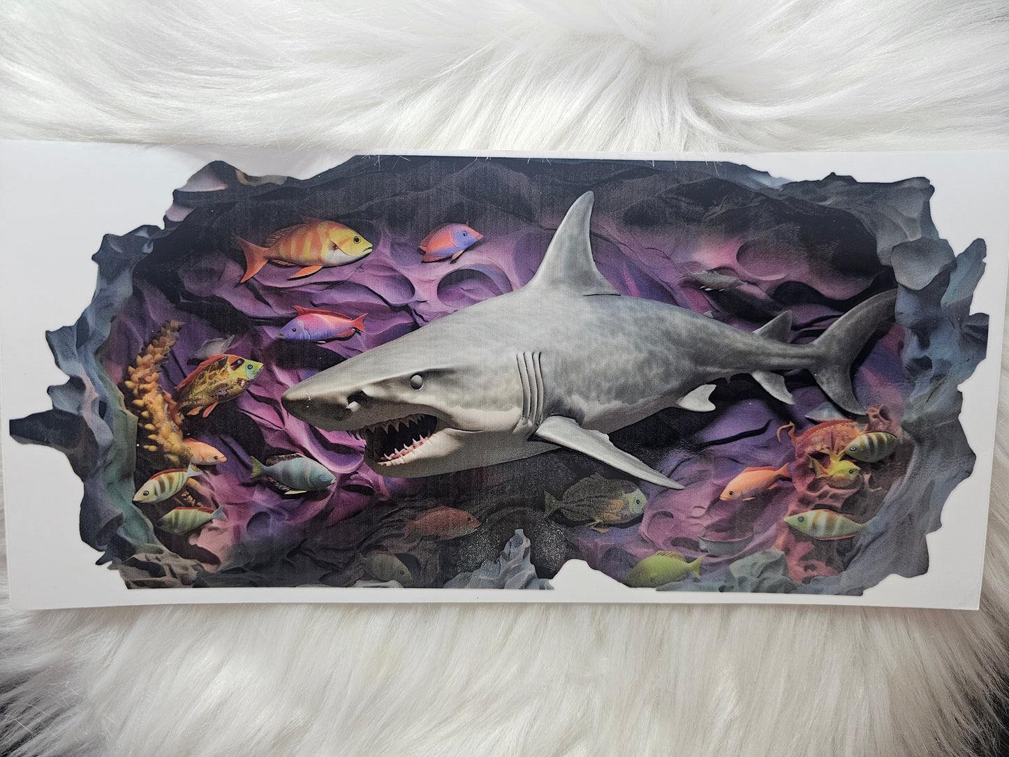 Sharks