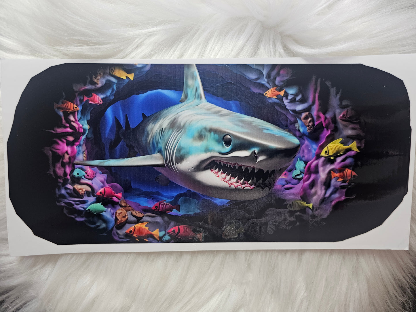 Sharks