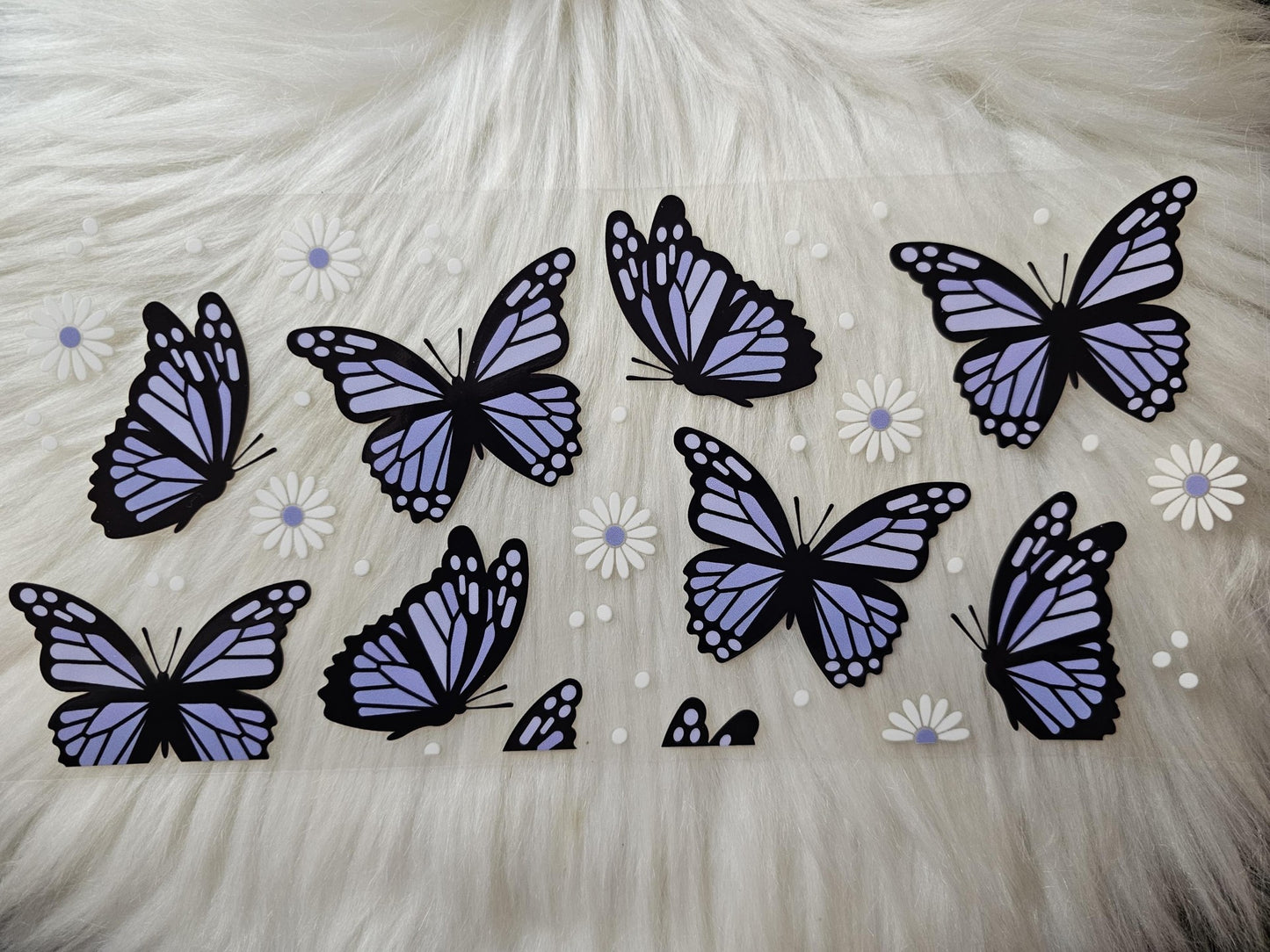 Butterflies