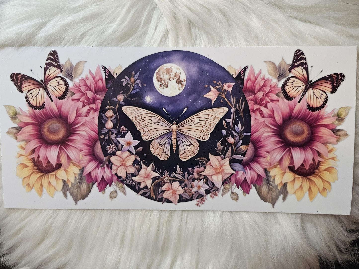 Butterflies
