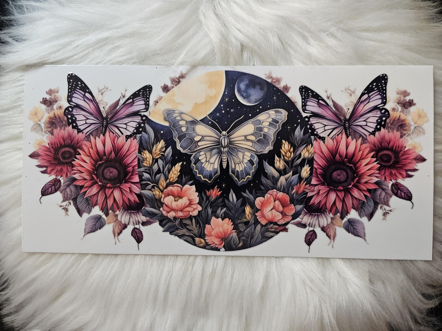 Butterflies