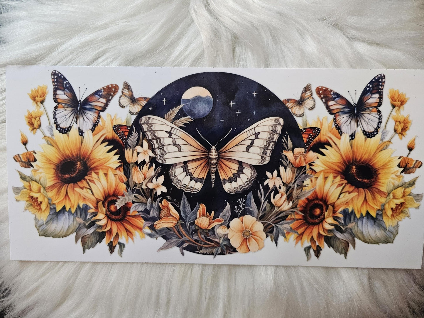 Butterflies