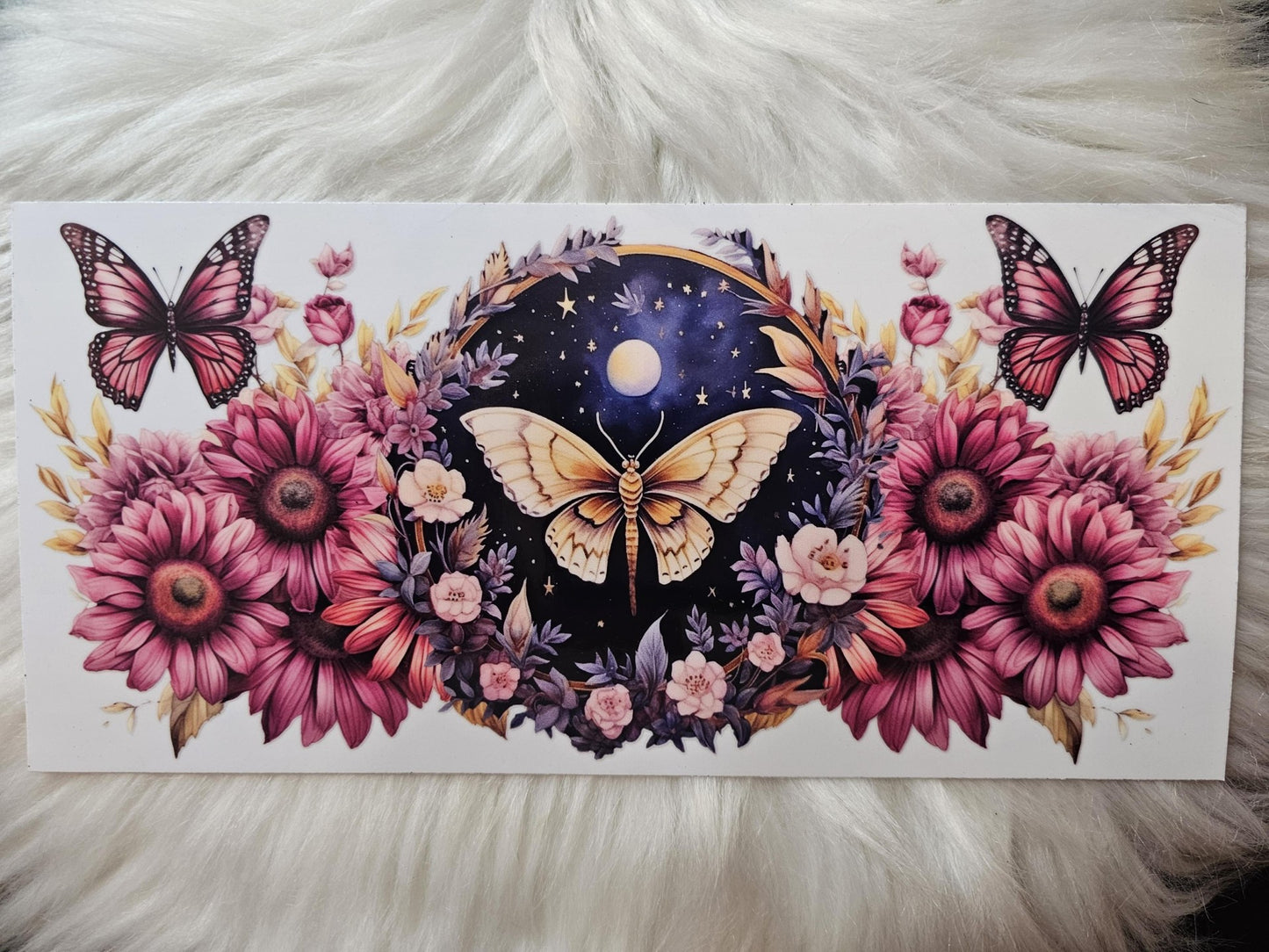 Butterflies