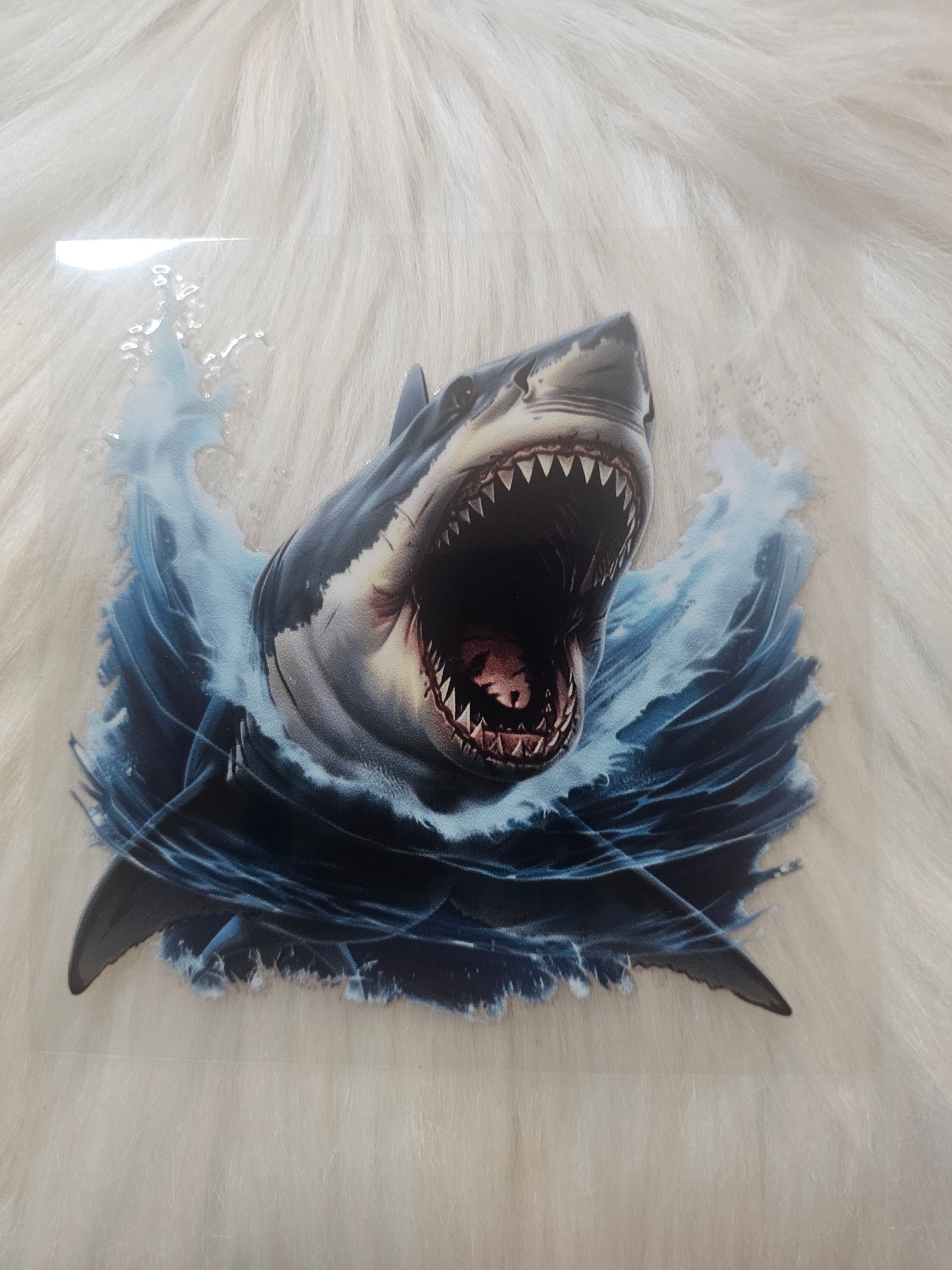 Sharks
