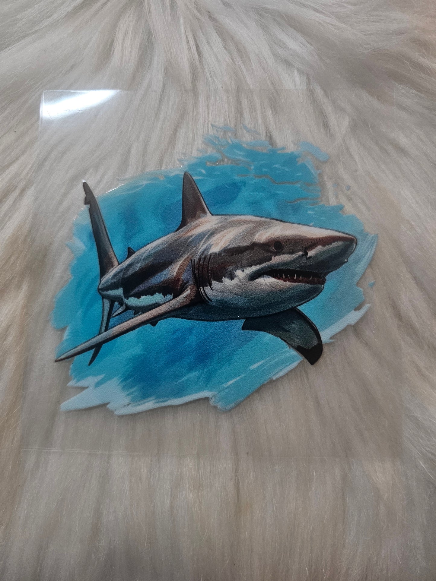 Sharks