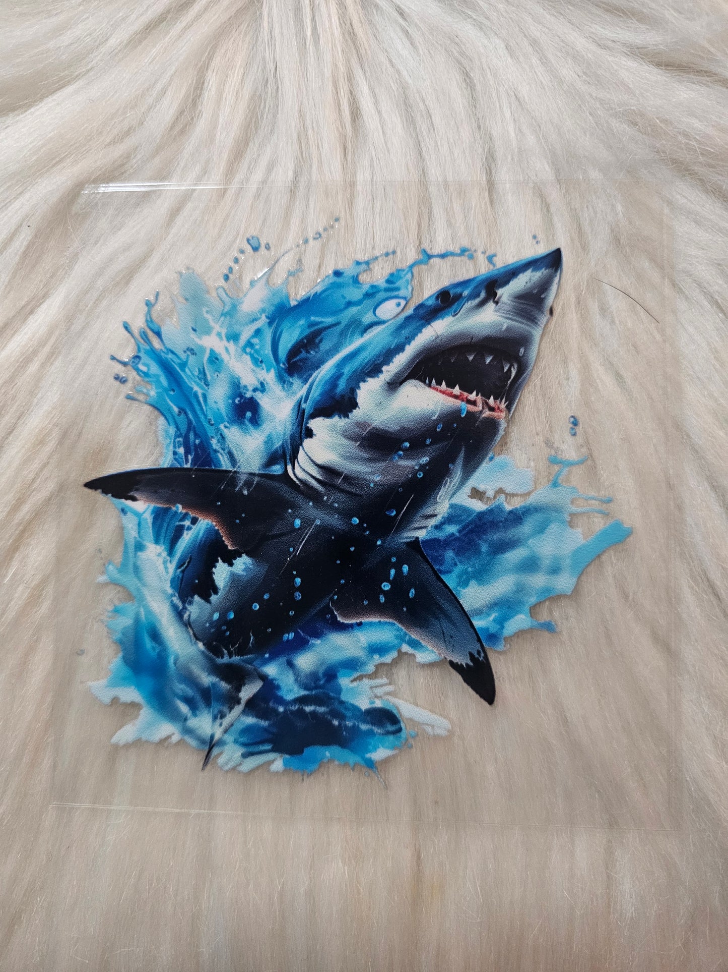 Sharks